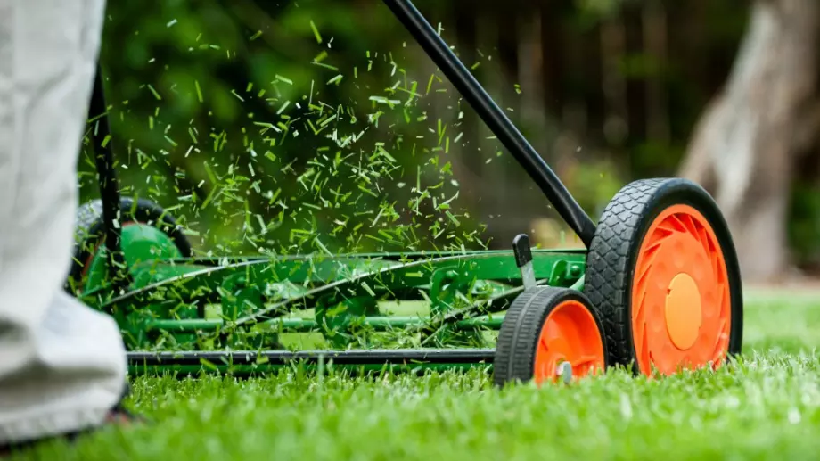 Виц на деня: Бай Иван и косенето