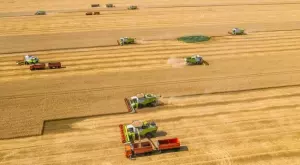 Спад в цените на пшеницата и царевицата, украинското зърно се срина