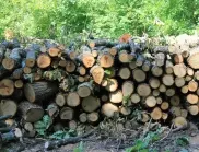 Не достигат дърва за огрев, забраняват износа на необработена дървесина