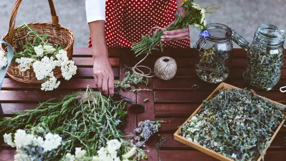 Тези билки са незаменими за здравето и красотата на всяка жена