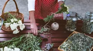 Ето коя е билката на Архангел Михаил, която лекува 100 болести