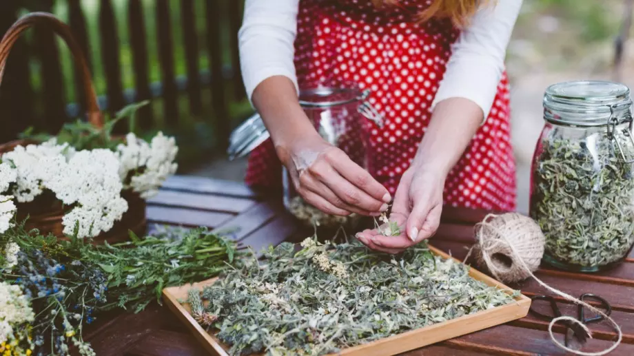 Знаете ли, че чаят от тази народна подправка може да пребори високото кръвно?