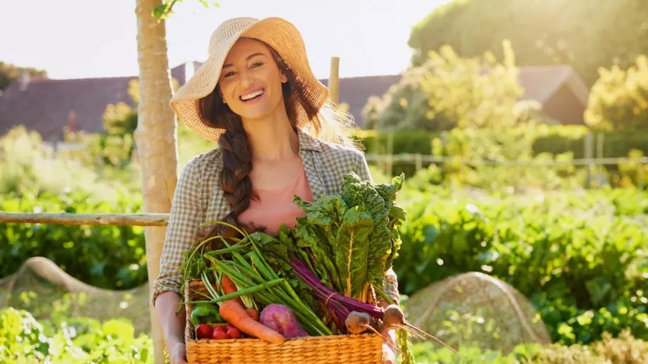 Амоняк в градината - ето какво трябва да знае всеки градинар