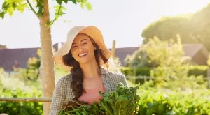 Как да подготвите дърветата във вашата градина за зимата