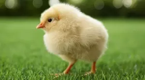 2022/07/12/0776708001657656605