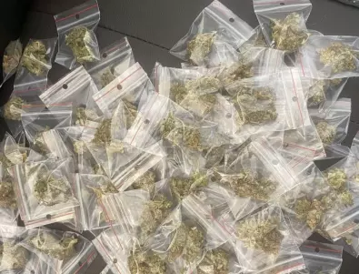 Откриха 200 кг марихуана в дом край Горна Оряховица, стигала до училищата