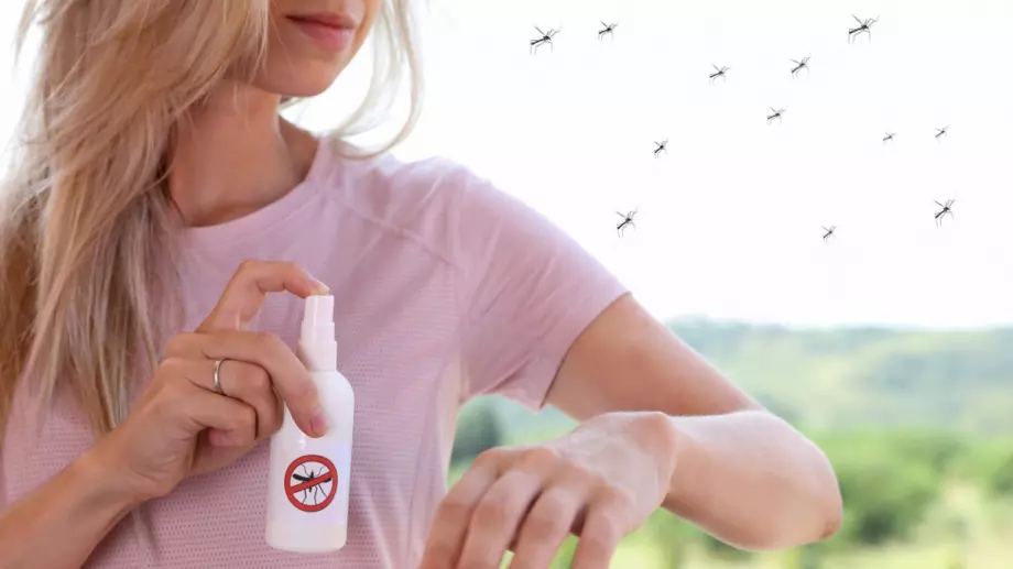 Тези растения държат комарите далеч от вас