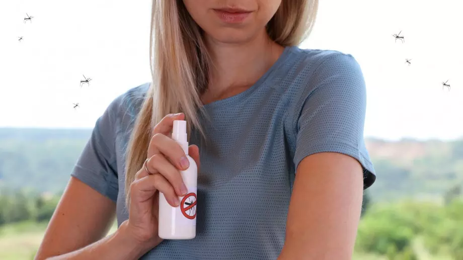 Ето как лесно да изгоните комарите