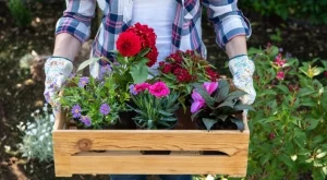 Цветята, които цъфтят до късна есен - задължително трябва да ги имате в градината си