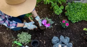 Цветята, които е по-добре да не засаждате в градината си