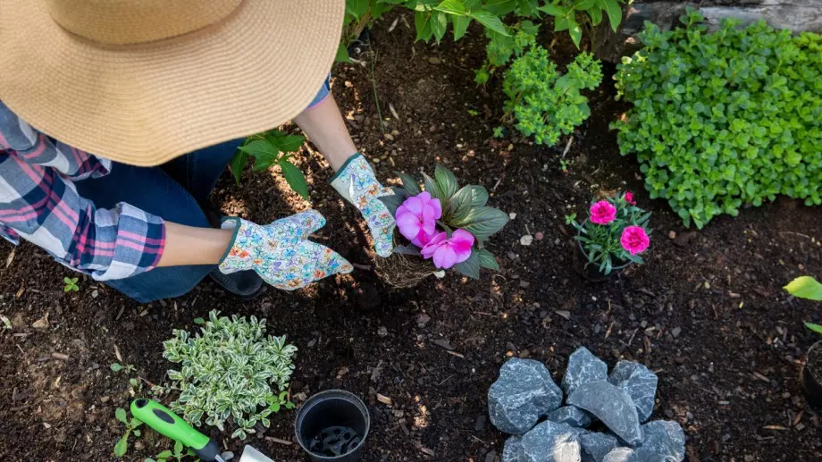 Цветята, които е по-добре да не засаждате в градината си