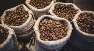 Заради сушата Бразилия не може да се справи с повишеното търсене на кафе