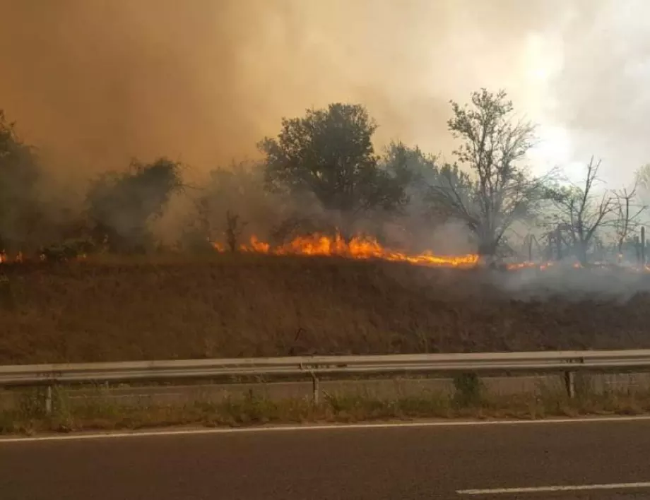 Голям пожар блокира пътя Варна - Бургас