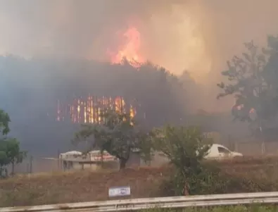 Евакуират две села на Лесбос заради пожар 