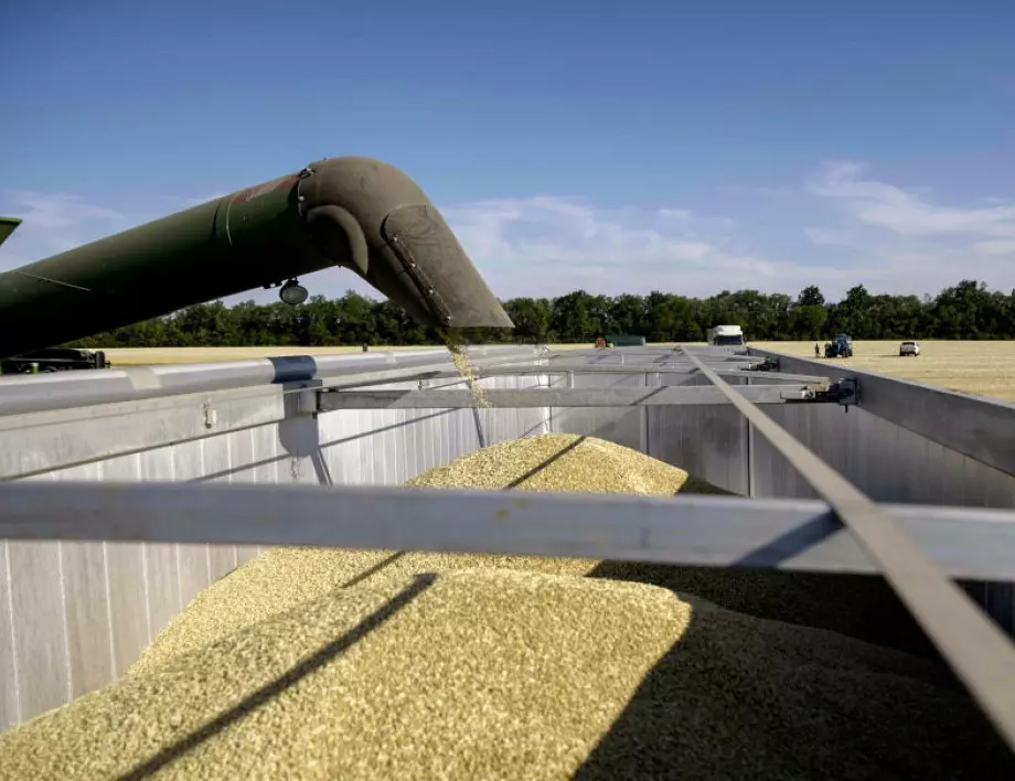 Украйна обяви кога ще поднови износа на зърно