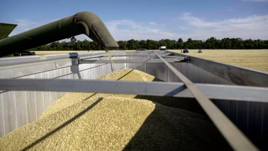 Анализ: Зърнената сделка държи цените ниски, но Русия не иска това