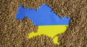 БАБХ развенча мита за безконтролния внос на зърно от Украйна