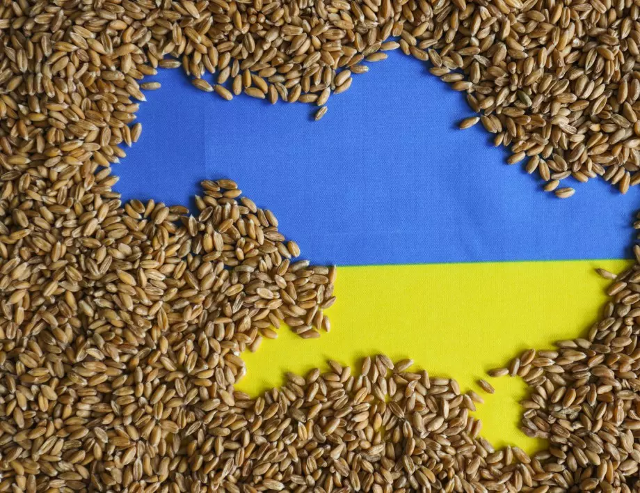 ЕС и НАТО призоваха Русия да изпълни изцяло споразумението за зърното 