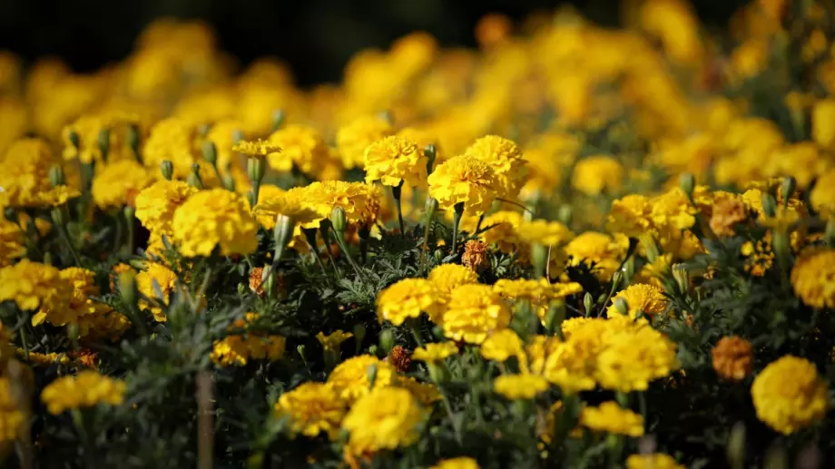 Ще вали ли на 30 август 2023? Вижте прогнозата!