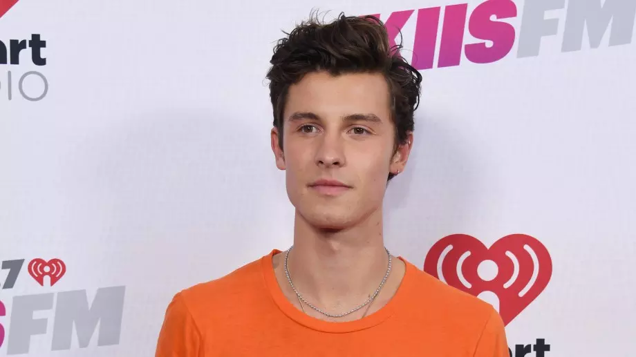 Шон Мендес прекъсна турнето си заради психически проблеми