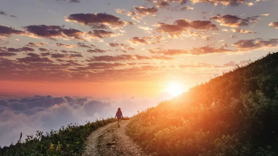 Астрологичен наръчник за всяка зодия за днес - 1 август - Какво ви очаква днес?