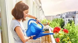 Поливайте цветята така и всички болести ще ги подминават