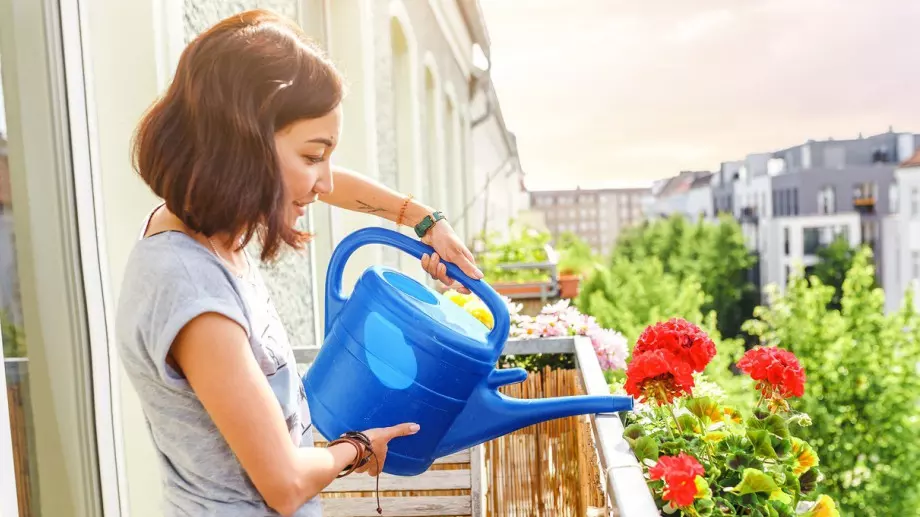 Поливайте цветята така и всички болести ще ги подминават