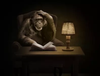 Как учените се опитаха да превърнат маймуна в човек