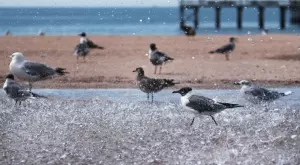 Стихотворение за 5 юни 2023