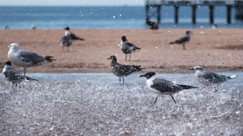 Стихотворение за 5 юни 2023