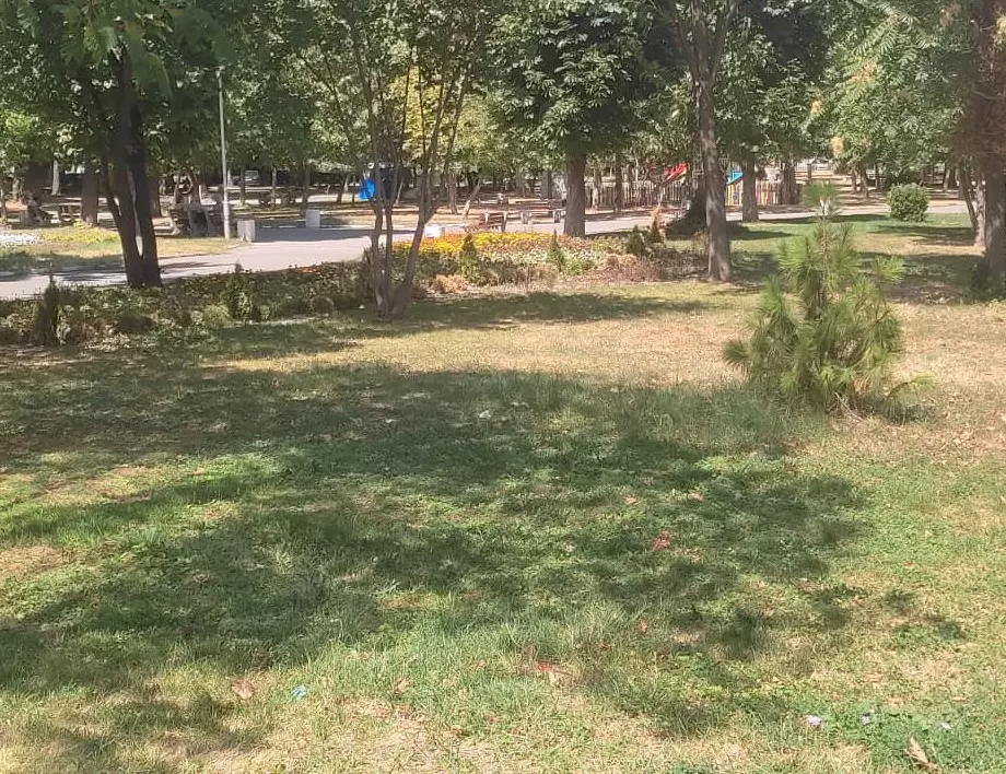 Реновират Градския парк на Асеновград
