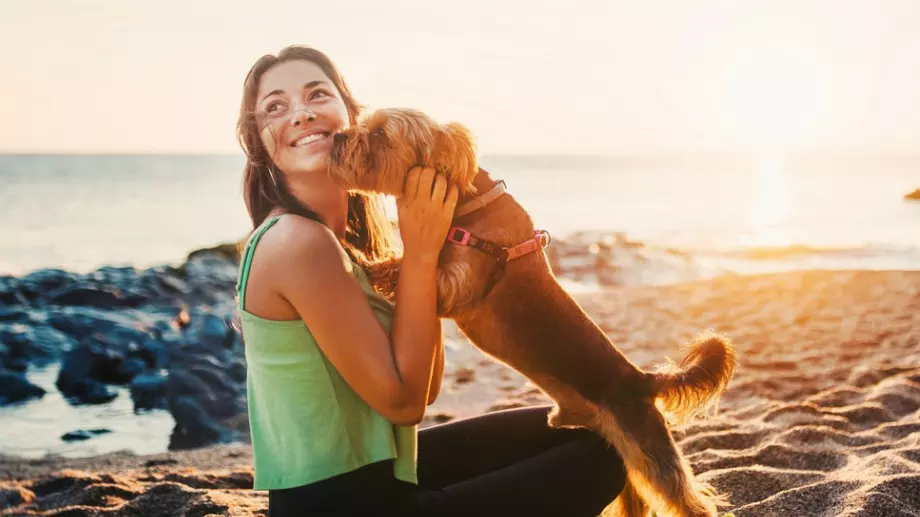 Хороскоп за днес, 26 август