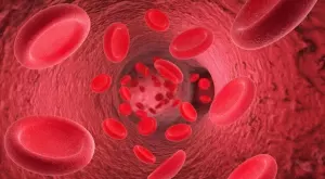 Лекар разкри 3 начина за повишаване на хемоглобина без консумация на месо