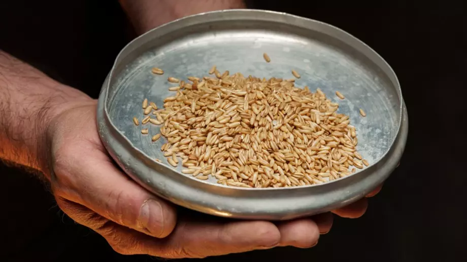 Продоволствената криза ще се задълбочи, милиони са заплашени от глад