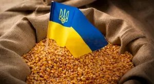 Русия се е съгласила да удължи срока на зърнената сделка