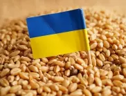 Украйна ще изнесе под 3 млн. тона зърно през ноември