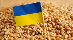 Украйна иска удължаване на зърнената сделка с година, включва нови пристанища