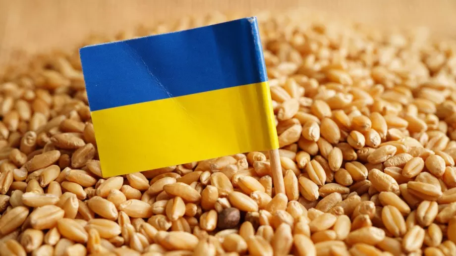 Украйна e изнесла 38,8 млн. тона зърно за сезон 2022/23 г. към 10 април