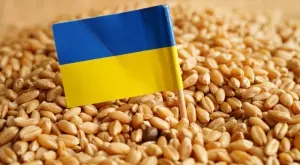 Киев предупреди: Зърнената сделка е застрашена