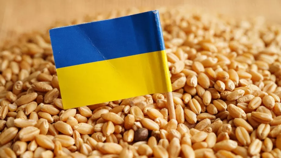 Русия даде на ООН 90 дни за нормализиране на сделката за зърно 