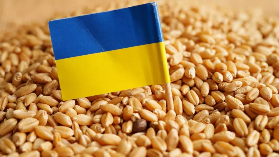 Украйна смята да съди Полша, Унгария и Словакия заради забраната за внос на храни