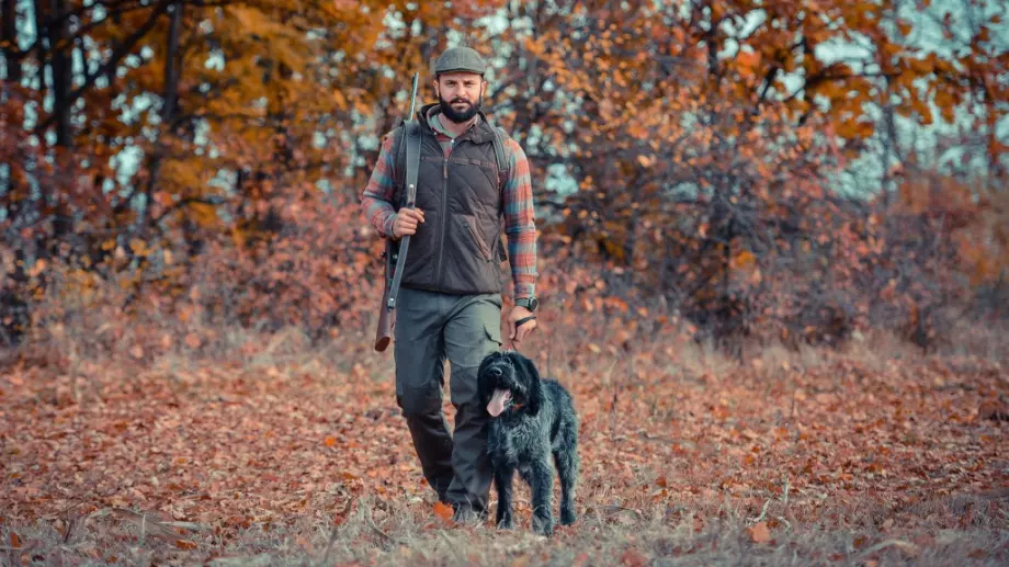 Виц на деня: Тате, дай пушката да ходя на лов за мечка