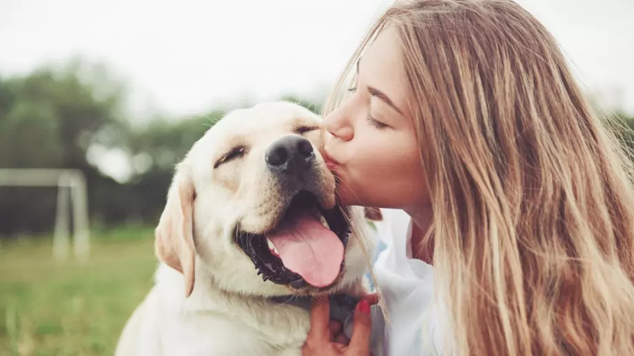 Изследване: Кучетата плачат от радост