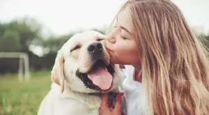 Защо да си вземете куче: 5 страхотни причини