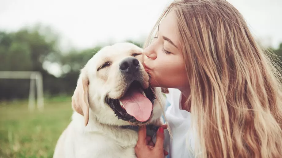 Суперсилите, които притежават кучетата