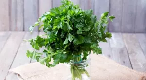 Ето как хитрите домакини почистват магданоза от стъблата (ВИДЕО)