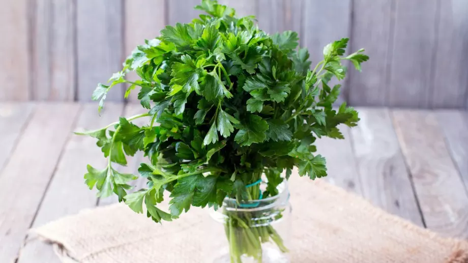 Този лек с магданоз чисти кръвоносните съдове само за 1 ден