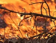 Как климатът променя поведението на пожарите?
