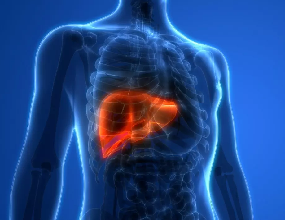 Лекар разкри как да прочистим черния дроб с домашни средства