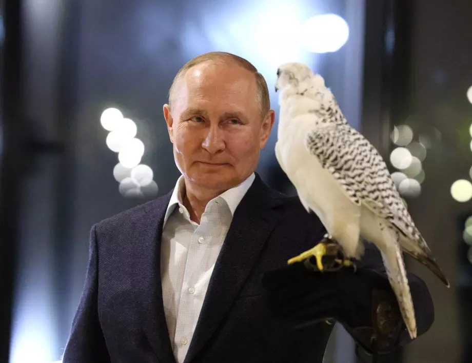 Без рождения ден на Путин в Русия: "Няма пари, няма защо да личи, че президентът е за пенсия"